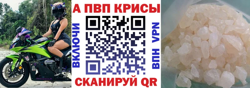 blacksprut ссылки  Сураж  А ПВП СК  как найти  