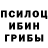 Псилоцибиновые грибы прущие грибы Dmytro Magonia