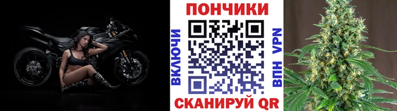 как найти закладки  Сураж  Конопля конопля 